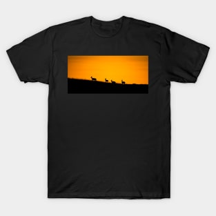 Pronghorn Sunset T-Shirt